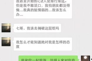 国产113页,深度解析我国科技发展的新篇章